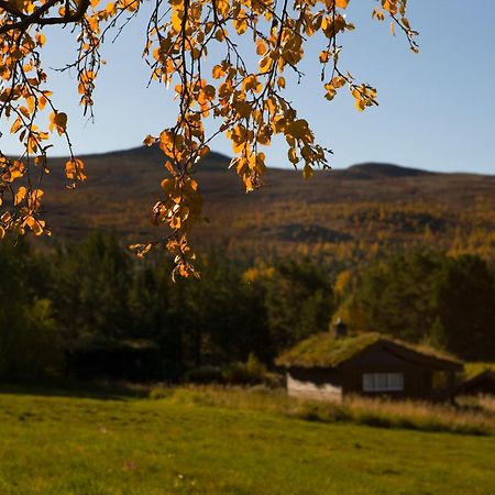 מלון Høvringen Oigardseter Fjellstue מראה חיצוני תמונה