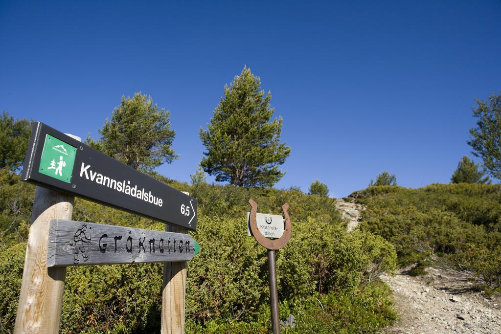 מלון Høvringen Oigardseter Fjellstue מראה חיצוני תמונה