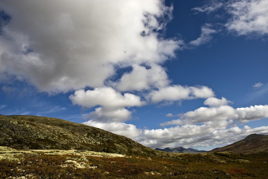מלון Høvringen Oigardseter Fjellstue מראה חיצוני תמונה